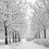 Alan_backlund