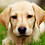 Balaji_sekar