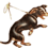 RaSTuS